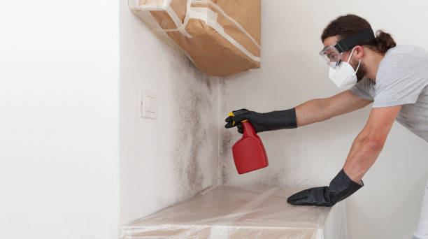 Professional Basement Mold Removal technician working in Bedford, TX