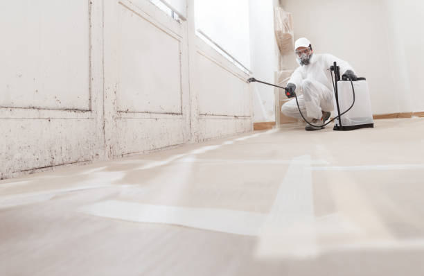 24/7 Emergency Basement Mold Removal experts in Bedford, TX