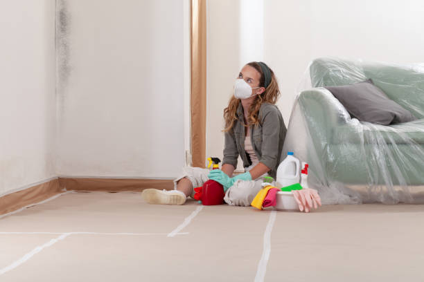 Reliable Basement Mold Removal contractor in Bedford, TX by WQB Mold Removal